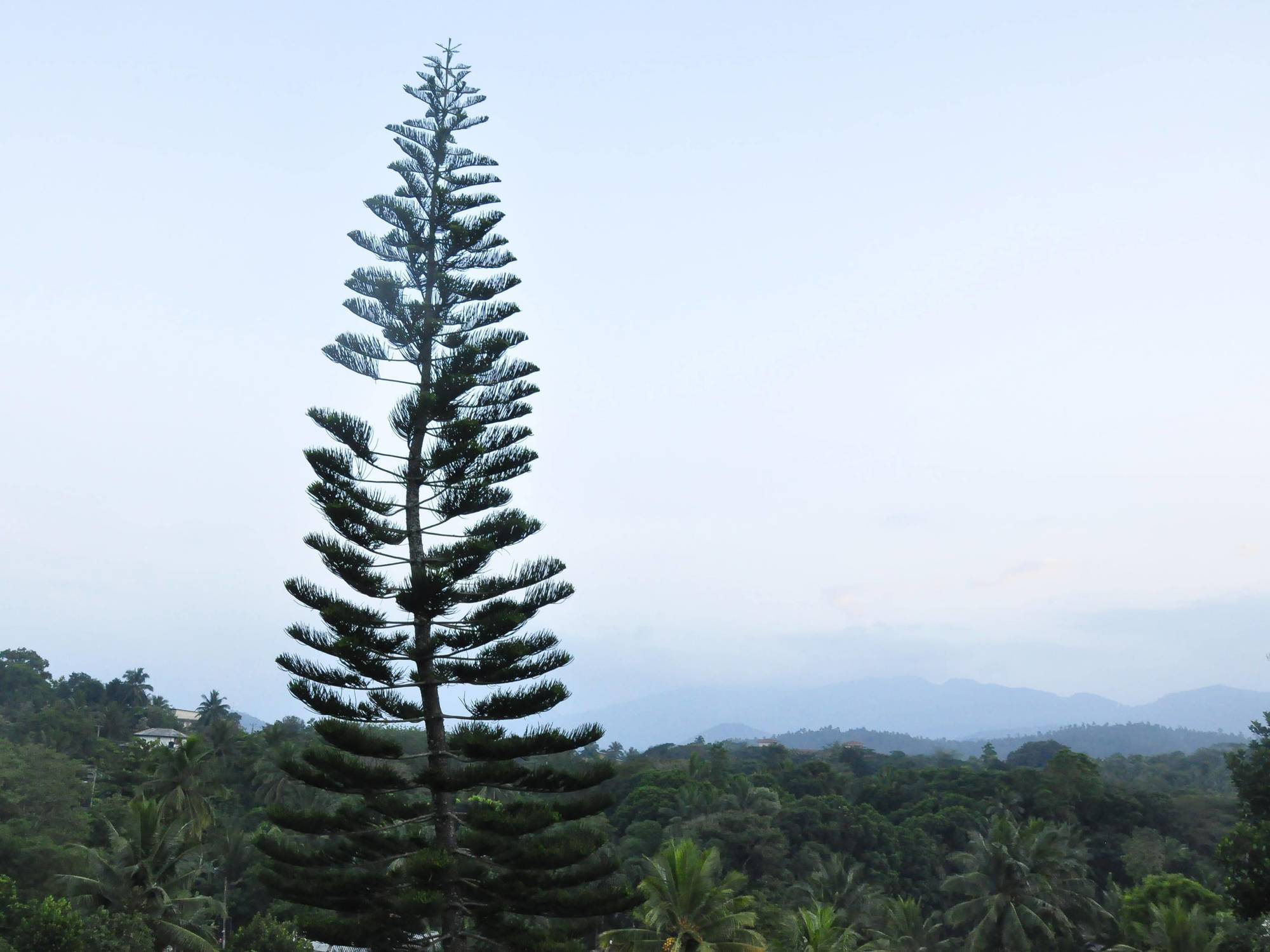 Oyo 386 White Villa Tourist Guest Kandy Zewnętrze zdjęcie